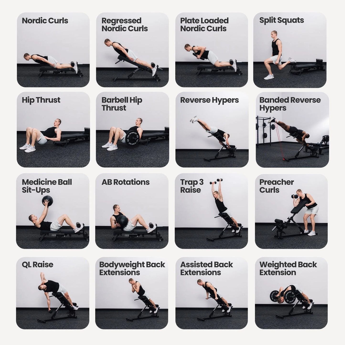 Nordic Back Extension Machine V2
