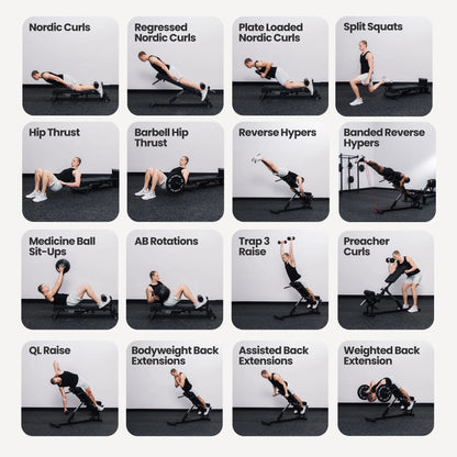 Nordic Back Extension Machine V2